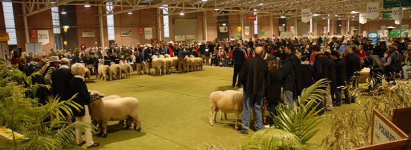 /edit/Home_rotate/BENDIGO-SHEEP-&-WOOL-2009-056-RET.JPG /edit/Home_rotate/BENDIGO-SHEEP-&-WOOL-2009-056-RET.JPG
