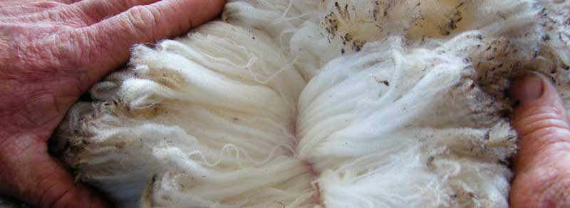 /edit/Home_rotate/GEN.WOOL.HAND.CRC.JPG /edit/Home_rotate/GEN.WOOL.HAND.CRC.JPG